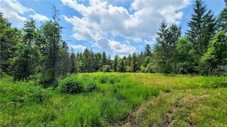 5185 Terrell Rd, Ulysses, NY 14886