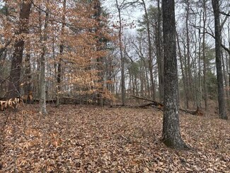 172 Lowell Ln, Flintstone, GA 30725