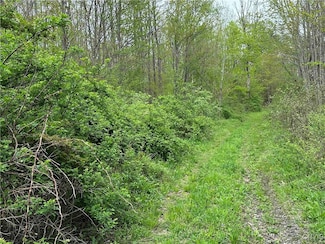 150 Cafferty Rd, Harpursville, NY 13787
