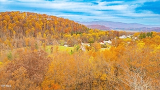 0 Siam Rd, Elizabethton, TN 37643