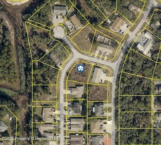 LOT 1 Sky Ct, Spring Hill, FL 34606