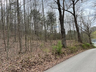 00 Dotson Branch Rd, Salyersville, KY 41465