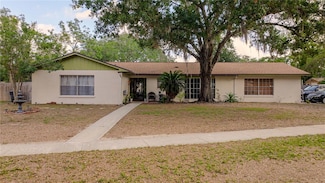502 Dewolf Rd, Brandon, FL 33511