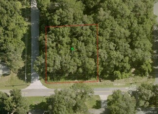 3825 E Dawson Dr, Inverness, FL 34453