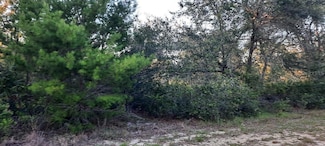 910 Granada Dr, Lake Wales, FL 33855