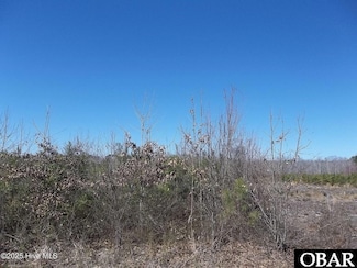 TBD Boat Ramp Rd Unit Lot 1, Hertford, NC 27944