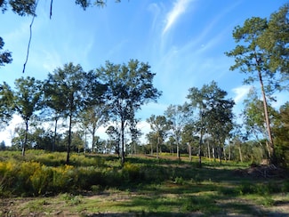 TBD 7.57 ACRES Hwy 259, Ore City, TX 75683