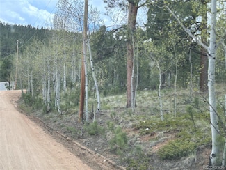 139 Obrien Rd, Bailey, CO 80421