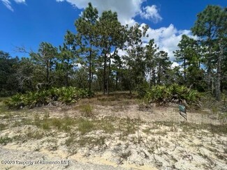 12159 Scarlet Ibis Ave, Weeki Wachee, FL 34614
