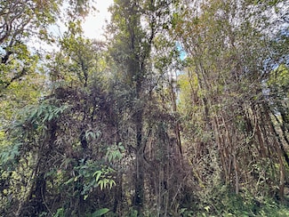 0 Road 11 Unit 721871, Volcano, HI 96785