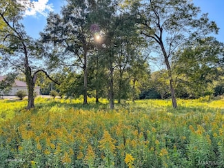 0 N Jackson St, Grove Hill, AL 36451