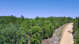 X Big Branch Rd, Wagener, SC 29164