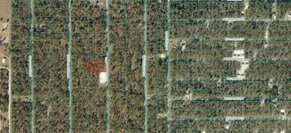 Tbd NW Tree Top Rd, Rainbow Lakes Estates, FL 34431