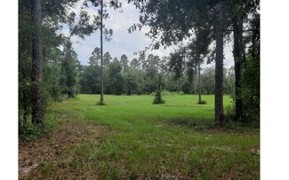 0 Cr 252 Unit 124413, Wellborn, FL 32060