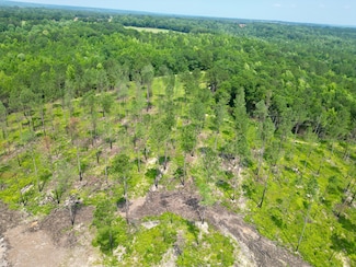0 County Road 6650, Brundidge, AL 36006
