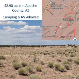 Unnamed Rd, Saint Johns, AZ 85936