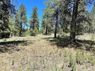 545 Church Creek Dr, South Fork, CO 81154