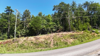 0 Flat Woods Rd, Dandridge, TN 37725