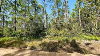 3.76 acres Mt Pleasant Rd, Jesup, GA 31546