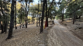 722 Mojave River Rd, Crestline, CA 92325