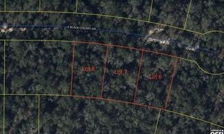 Lot #8 E Black Cherry Dr, Defuniak Springs, FL 32433