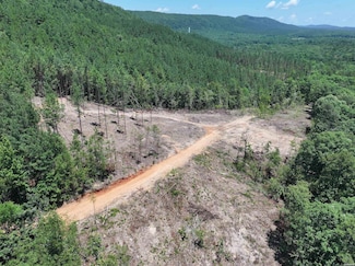 XXX Palmer Mountain Rd, Caddo Gap, AR 71935