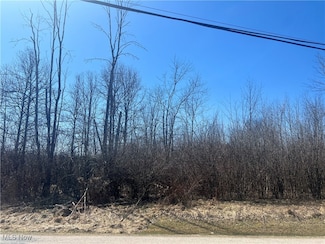 681&682 Rome Rock Creek Rd, Roaming Shores, OH 44084