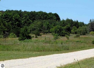 6108 W 10 1/2 Rd, Mesick, MI 49668
