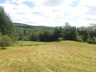 00 Bothfeld Hill Rd, Cabot, VT 05647