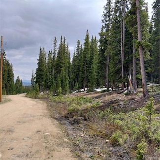 343 Sunshine Dr Unit 856, Fairplay, CO 80440