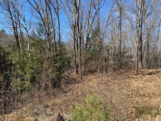 0 Old Washington Pond Rd Unit 4904429, Marlow, NH 03456