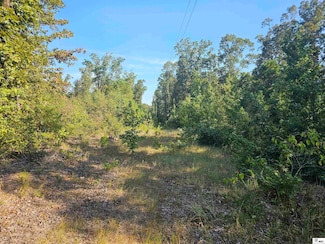 127 David Rd, Bernice, LA 71222