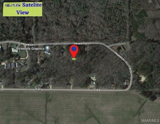 25 Hosea Ln, Autaugaville, AL 36003