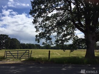 0 Jackson Hwy Unit 1002684, Toledo, WA 98591