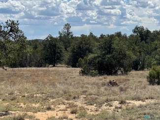 13 Davids Rock Rd, Candy Kitchen, NM 87321