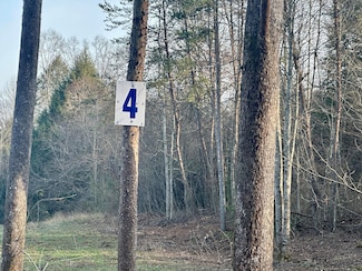 Lot 4 Radford Rd, East Bernstadt, KY 40729