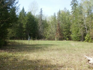 1730 Maxwell Rd, Cheboygan, MI 49721