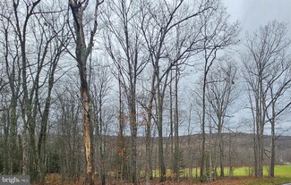0 Bittinger Rd, Swanton, MD 21561