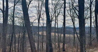 Lots 77 & 78 Scenicview Dr, Dallas, PA 18612