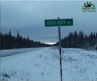 nhn Butch Kuth Ave, Tok, AK 99780