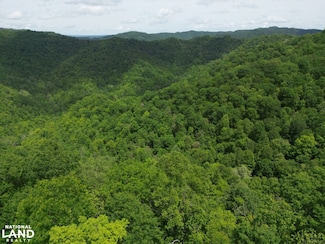 24 Boarder Creek Rd, Panther, WV 24872