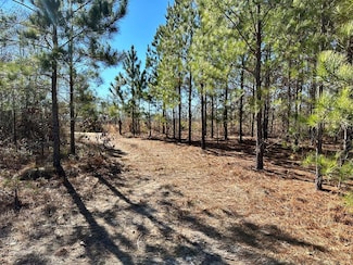 00 Bass Rd, Dexter, GA 31019