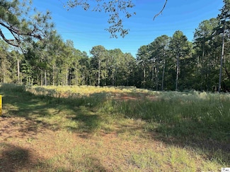 205 Woods Rd, Ruston, LA 71270