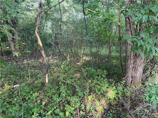 15 Cayuse Trail, Malvern, OH 44644