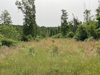 0000 Highway Pp, Cabool, MO 65689
