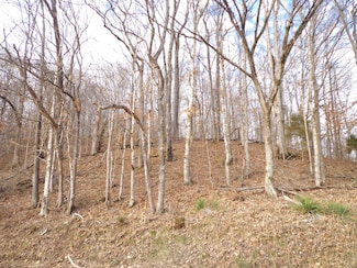 0 Dry Hollow Rd Unit RTC2780508, Mc Ewen, TN 37101