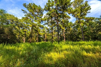 Tract 11 County Road 4222, Frankston, TX 75763