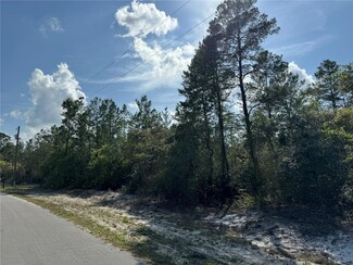 32 Fisher Tr Pass, Ocklawaha, FL 32179
