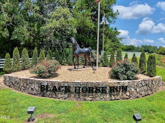 10 Pony Ct, Bahama, NC 27503