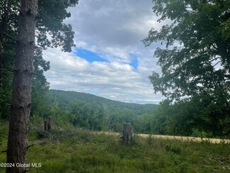 400 Pitts Rd, Chatham, NY 12136